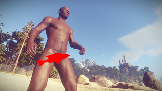 <i>Rust </i>Randomizes Penis Length, Players Compare Sizes